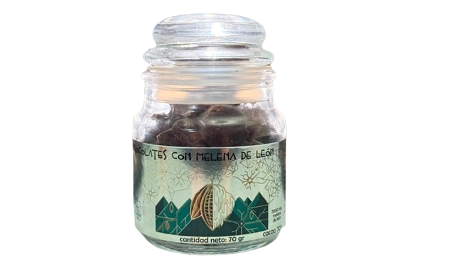 Chocolate Funcional con Melena de León | Microdosis 70g