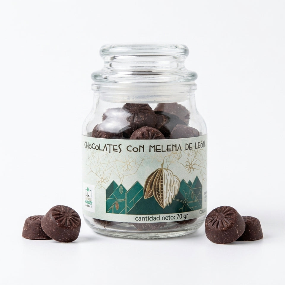 Chocolate Funcional con Melena de León | Microdosis 70g